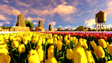 molinos de viento holandeses tradicionales con tulipanes vibrantes en el primer plano