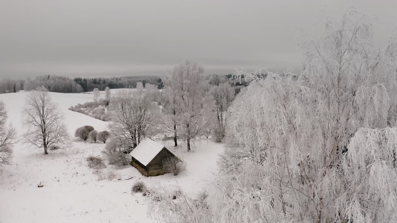 Hoar frost covered trees in countryside landscape on a cloudy winter day. Aerial view of trees covered with snow. Frozen trees after extreme cold. Birch tree in winter.
