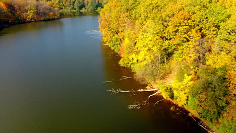 autumn forest changing colors. variety of shades of green and yellow in the woods. peaceful river flowing calmly on clear sunny day. top view.