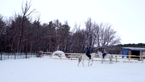 girl rides on horse in the paddock. jockey girl trains the the horse right movements. quiet winter cloudy day. a little snow falls.