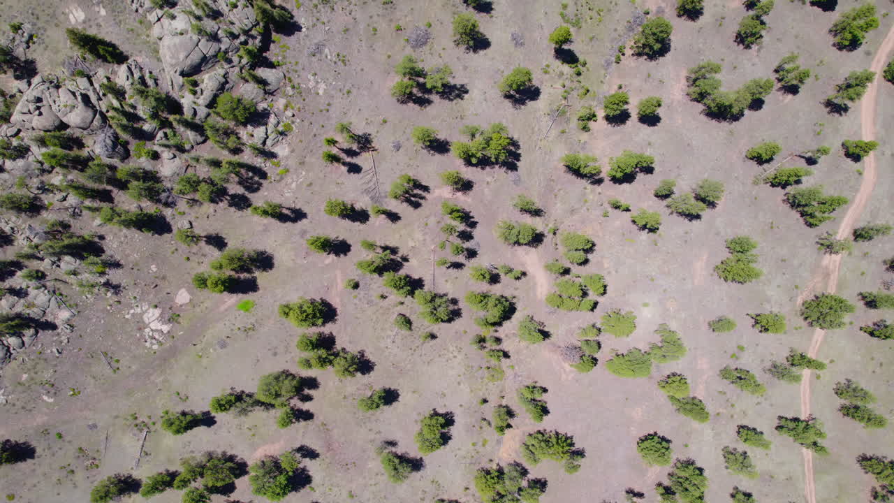 cambio climático hd toma aérea de drones del paisaje de bosque cálido y seco con algunos árboles y un montón de espacio vacío muerto en el medio
