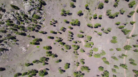 Cambio-Climático-Hd-Toma-Aérea-De-Drones-Del-Paisaje-De-Bosque-Cálido-Y-Seco-Con-Algunos-árboles-Y-Un-Montón-De-Espacio-Vacío-Muerto-En-El-Medio