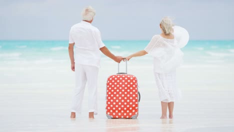 retired senior couple on beach with travel luggage
