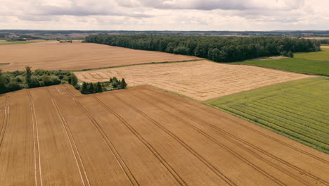 Vuelo-Aéreo-Sobre-Campos-De-Cultivo-De-Trigo-Marrón-Escénico-En-Tierras-Agrícolas-Rurales