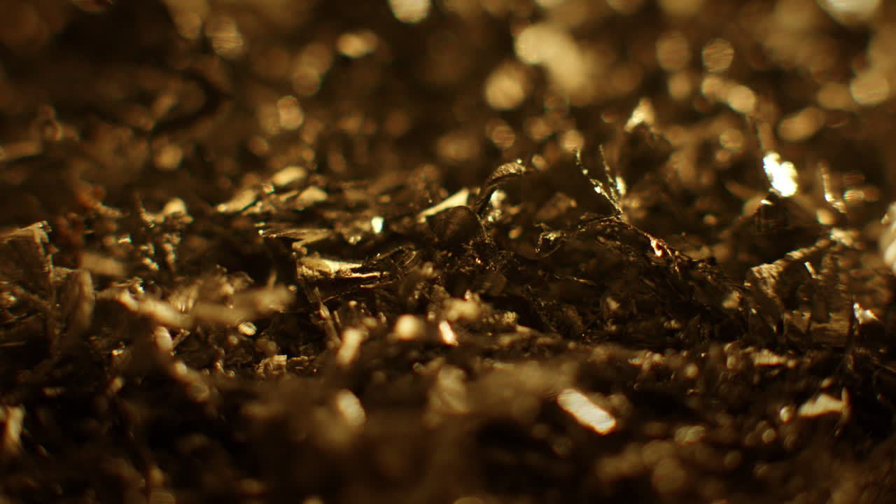 Primo piano di otturazioni metalliche color oro