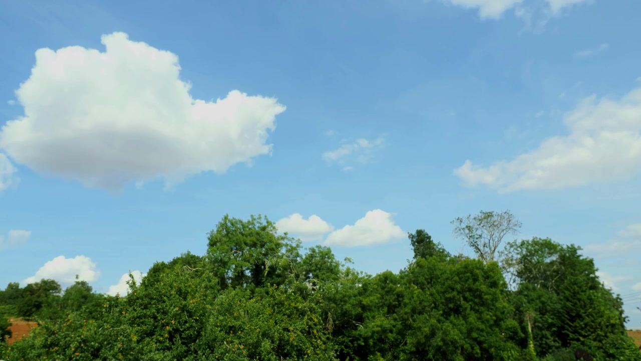 White clouds drift across a blue summer sky above dense garden trees in a smooth time lapse shot.