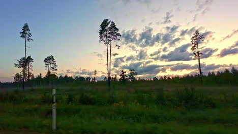 Toma-Panorámica-De-Izquierda-A-Derecha-De-Un-Paisaje-Verde-Cubierto-De-Hierba-Con-Algunos-árboles-Altos-Y-Una-Bonita-Puesta-De-Sol-Al-Fondo