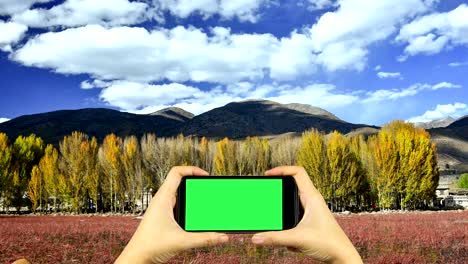 shoot video of nature with smart phone with green screen display