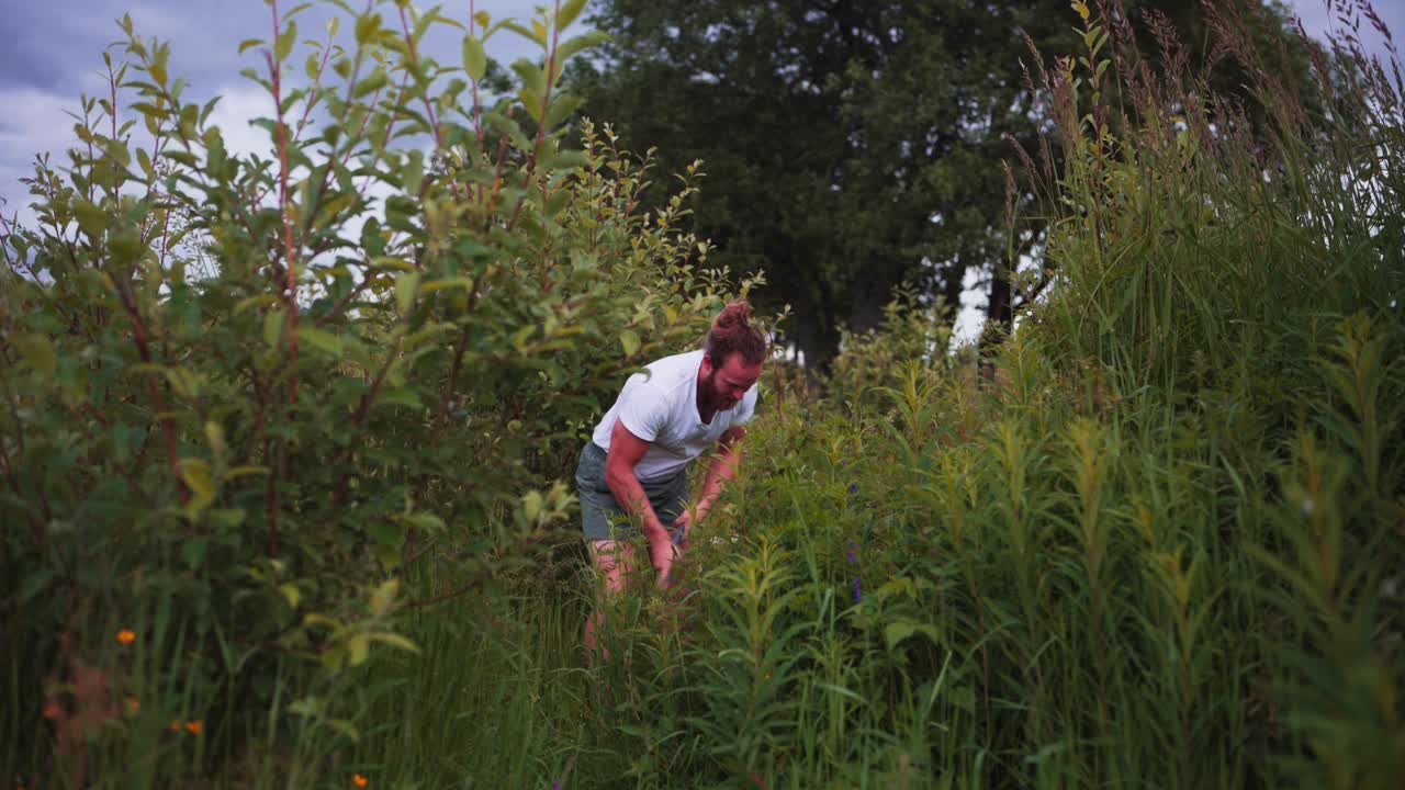 Man Cutting Grass With A Sickle From The Yard - wide