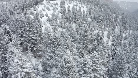 flying over a trailhead the morning after a big snowstorm
