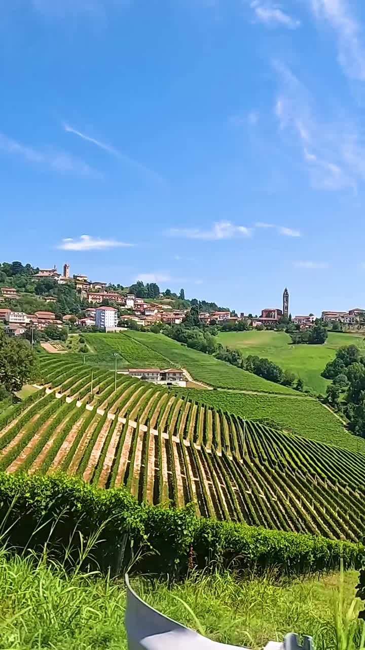 Vigneti rigogliosi sotto un cielo azzurro e limpido