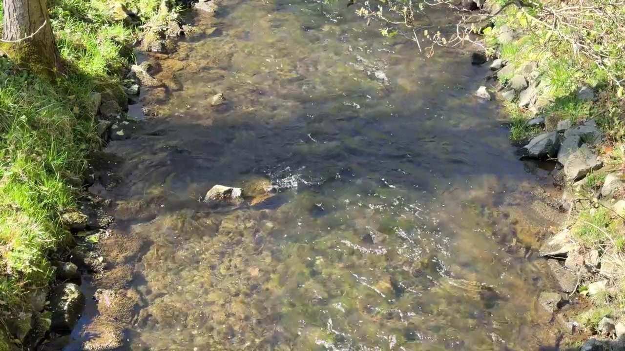 Crystal clear water flowing over rocks in a small, shallow creek with grassy banks