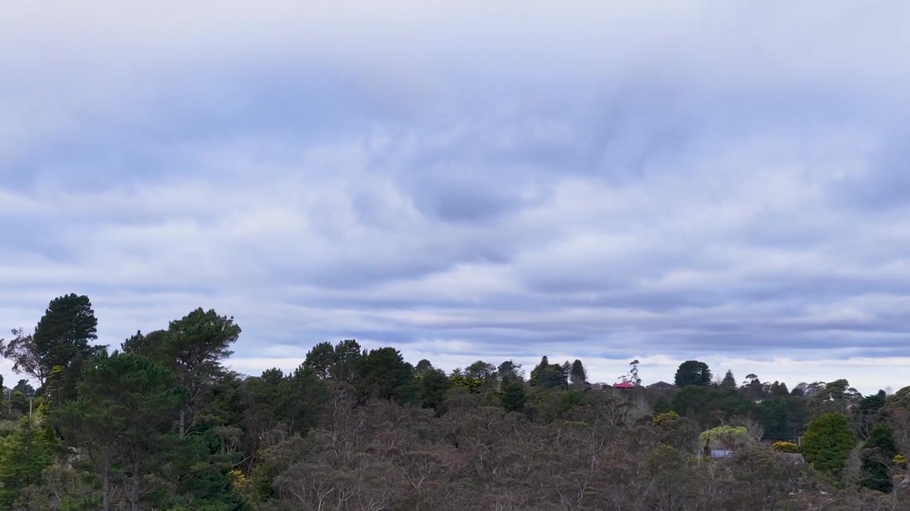 Aerial View of Forested Landscape and Distant Town Under Cloudy Sky