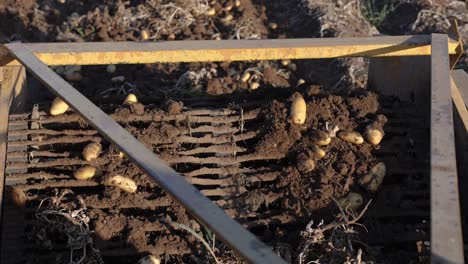 slow motion close-up of the rotating belt on a potato harvester tractor while harvesting potatoes on a farm