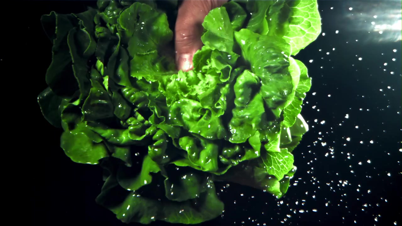 Lattuga verde fresca lavata con acqua al rallentatore