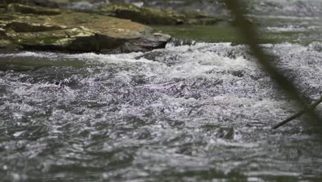 river water flows in the salto encantado park located in misiones, argentina