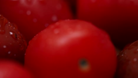 medley of heirloom grape cherry tomatoes.