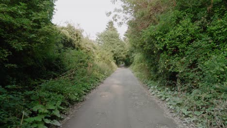 Caminando-Por-Un-Camino-De-Entrada-O-Camino-Hacia-Una-Granja-O-Finca-Irlandesa