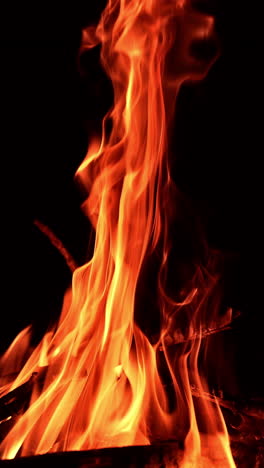 wooden sticks are burning in the fire. orange hot flames stretching up in the air. black backdrop. vertical video