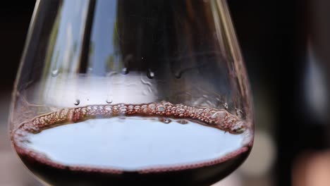 close-up of bubbles forming and rising in a glass.