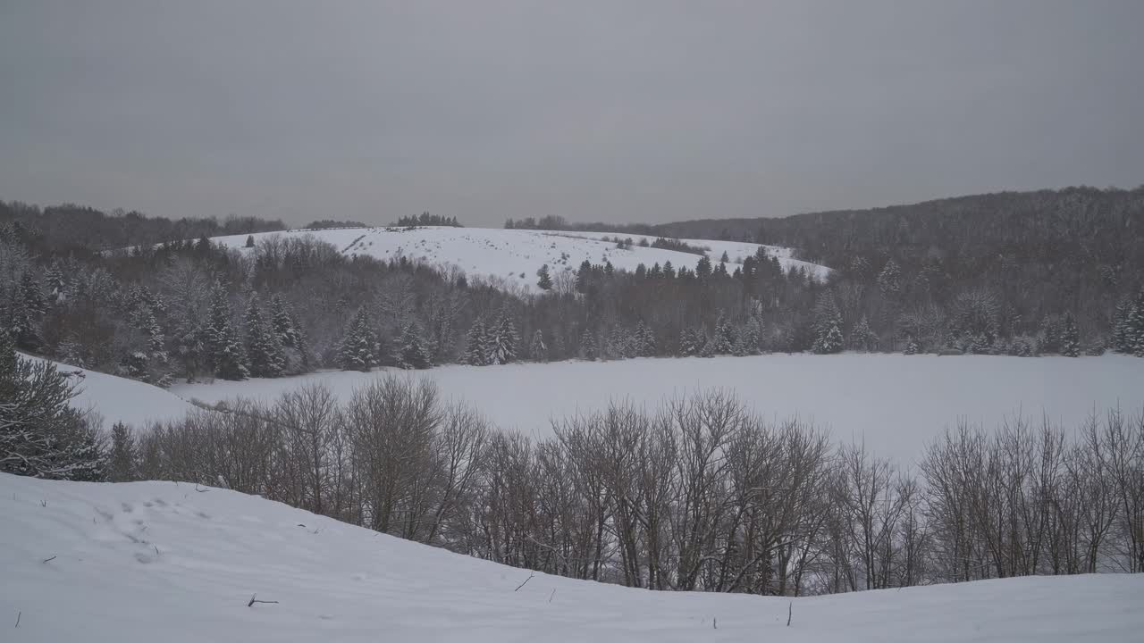 A serene winter landscape video captures a snowy forest and hills from a wide-angle perspective