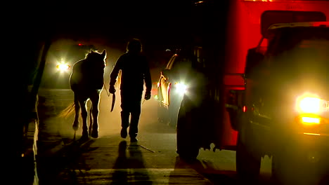 Horses-Are-Led-Down-A-Road-To-Safety-During-The-Thomas-Fire-In-Santa-Barbara-California