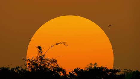 Sonnenuntergang-Oder-Sonnenaufgang