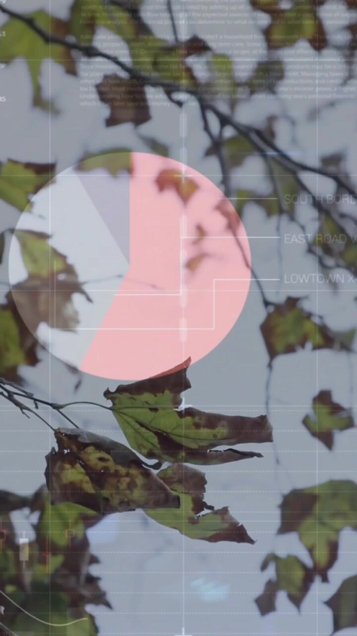 Video verticale: Ramoscello che ondeggia, input del sensore che alimenta grafici a torta o a barre percentuali sopra il ramo per l'ecologia.