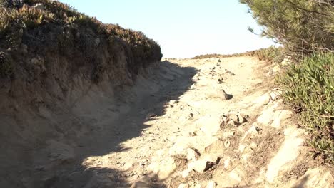 parents and kids walking on path uphill at countryside