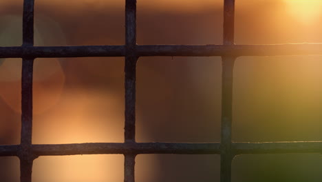 squared metal netting in golden sunlight closeup. black rough iron construction.