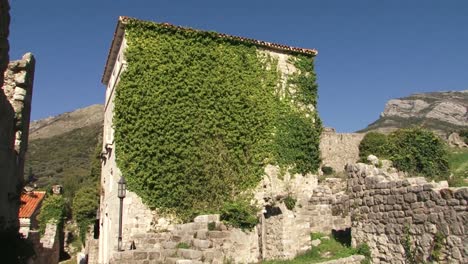 el antiguo edificio está cubierto de vegetación