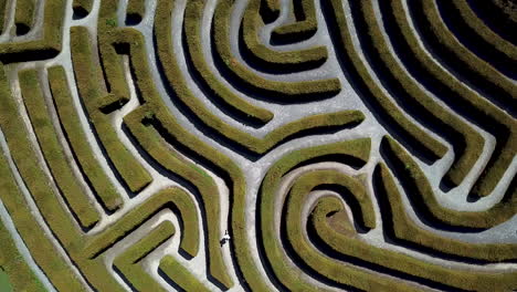 Person-walking-in-garden-maze,-aerial-view-of-the-peace-maze