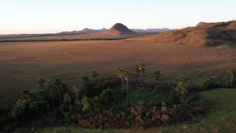 maytrea-garden-in-chapada-dos-veadeiros-brazil