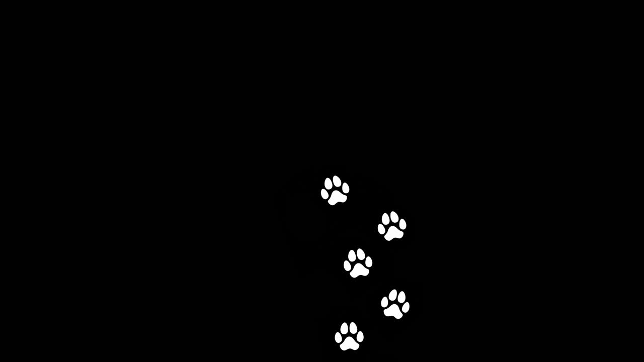 Animation: a trail of white footprints on a black background, a dog walking alone on a path going from bottom to top, vertical orientation
