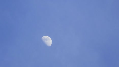 time lapse shot of moon in daytime with white soft clouds passing