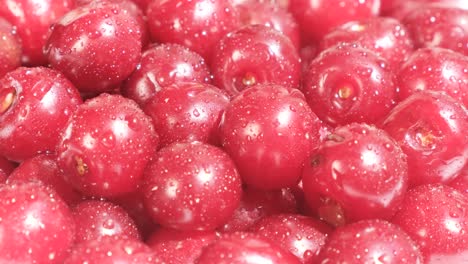 fresh red cherries