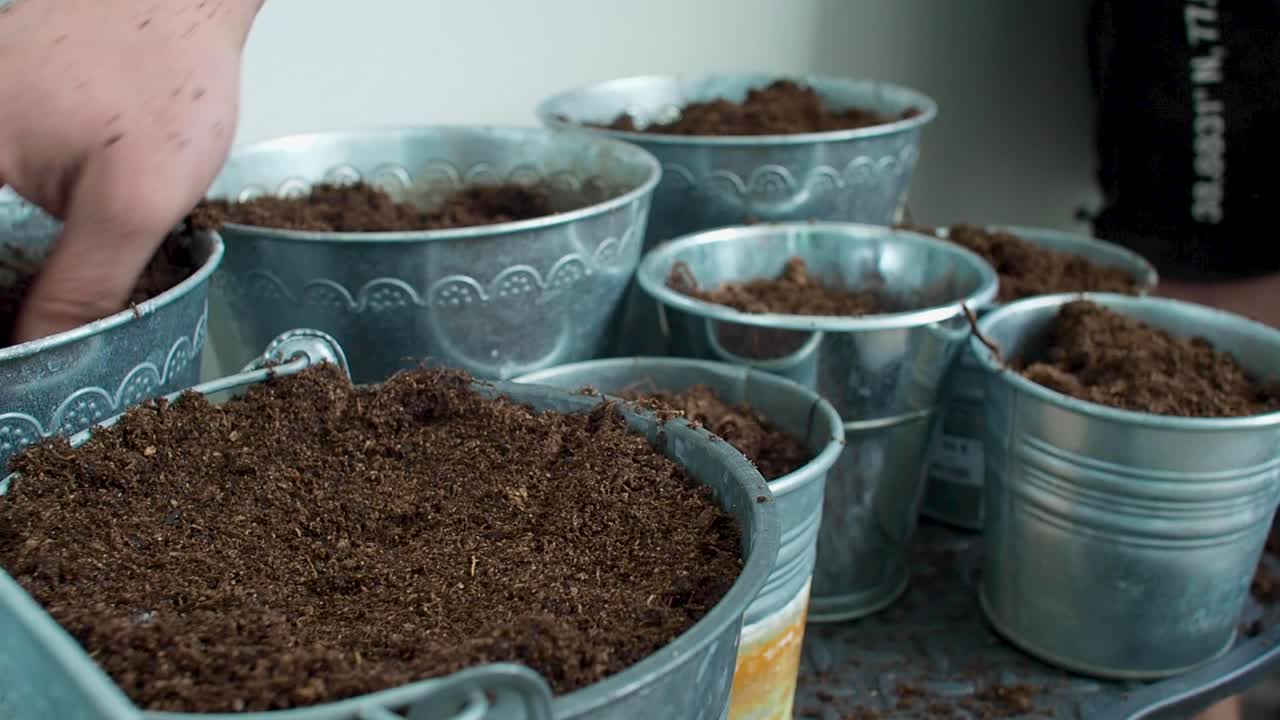 The pots are full of soil, with each one brimming with the earthy material