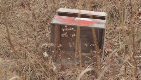 old milk crate in an overgrown field