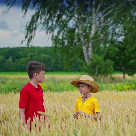 young boys on wheat field