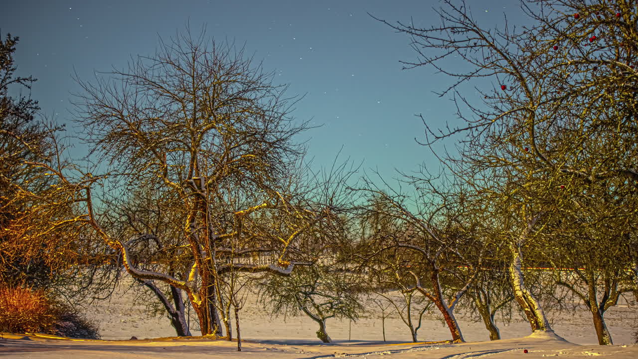 huerto en la temporada de invierno con la carretera en el fondo en el cielo estrellado, vista de lapso de tiempo