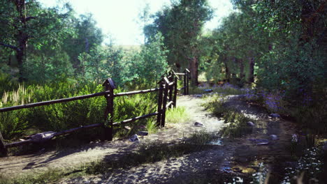 dirt road through forested countryside at sunset