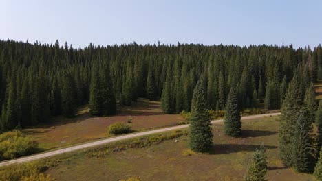 Push-in-shot-of-trees-in-Telluride-over-a-dirt-road