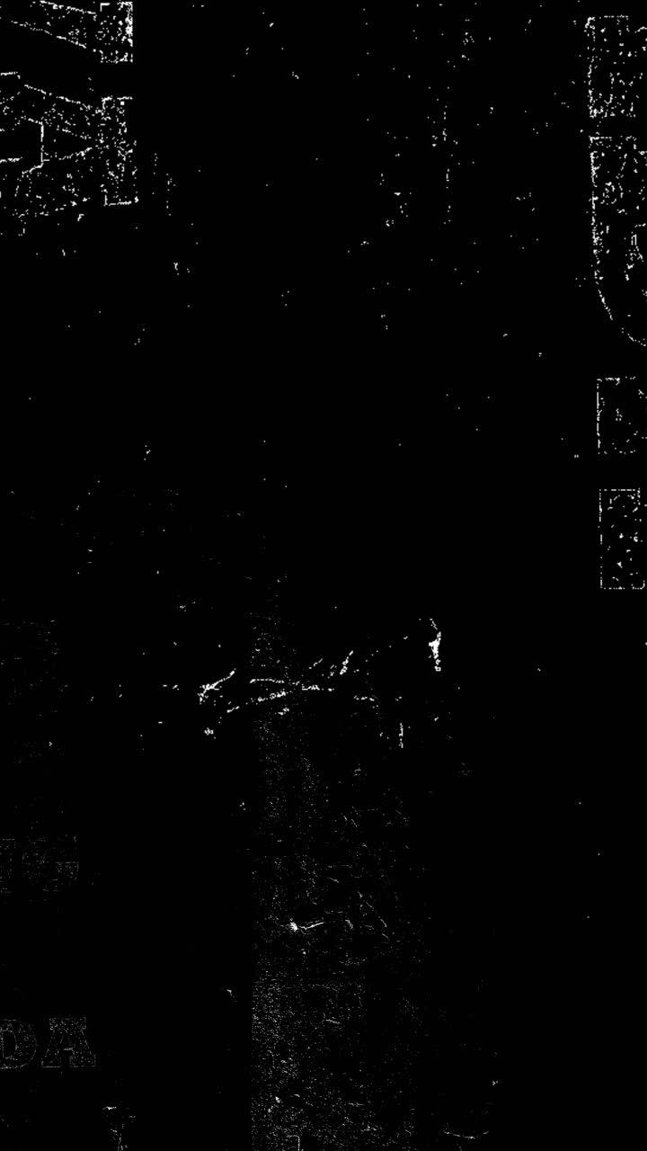 Black and White Static Noise Film Grain Overlay