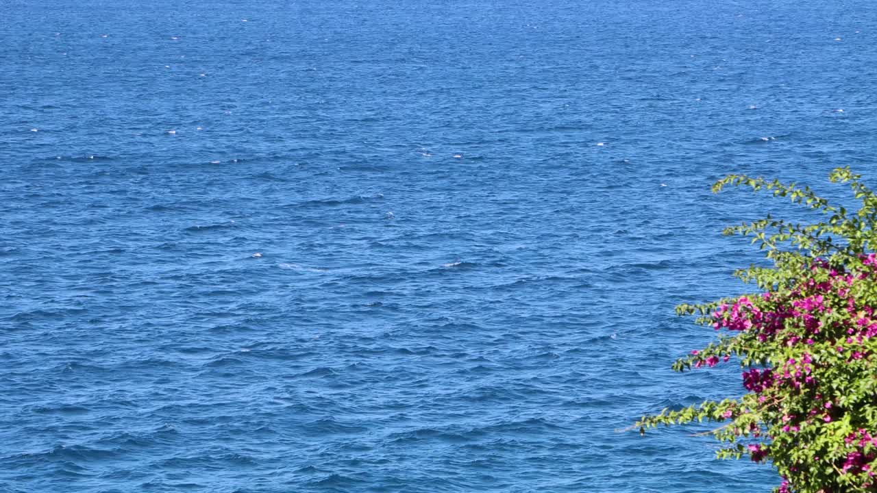 The crystalline blue sea of turquoise blue are moments that the summer gives to life, young people and families, here the freedom in a orchidean flower