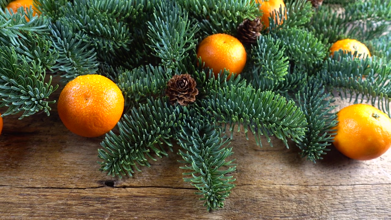 Abies nobilis-grenen ligger på en gammal träskiva i vintagestil och mandariner.