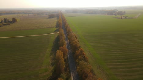 view from above on the meadows