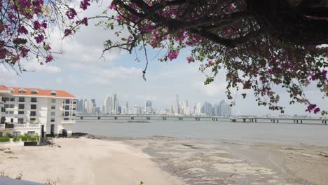 vista panorámica del horizonte de la ciudad de panamá desde casco viejo con una pintoresca playa y flores en primer plano