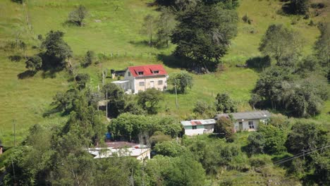 plano general de casas escondidas en el bosque