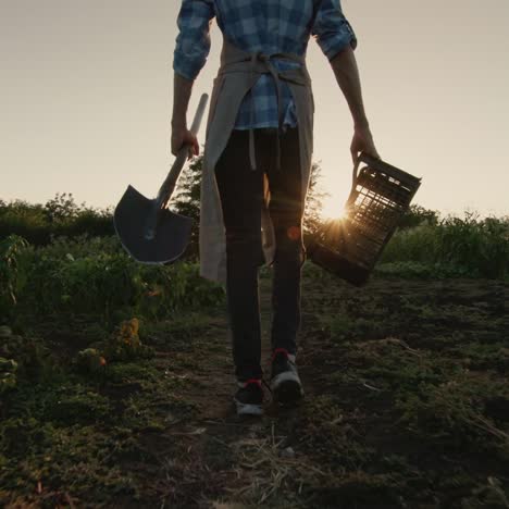 un granjero con una caja y una pala camina por el campo al atardecer