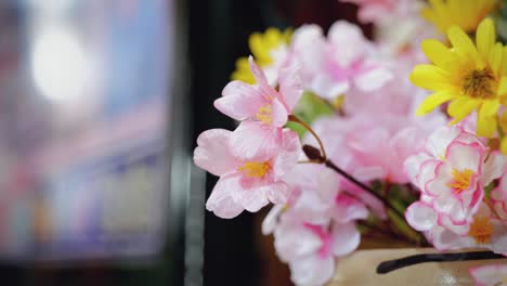 close-up of pink japanese flowers in the living room